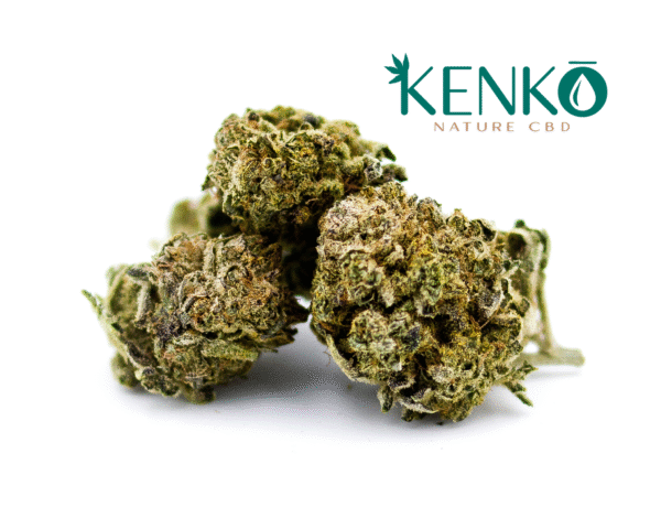SOUR DIESEL CBD 10GR