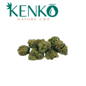 POP CORN CBD 10GR