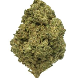 CRITICAL JACK 10GR CBD